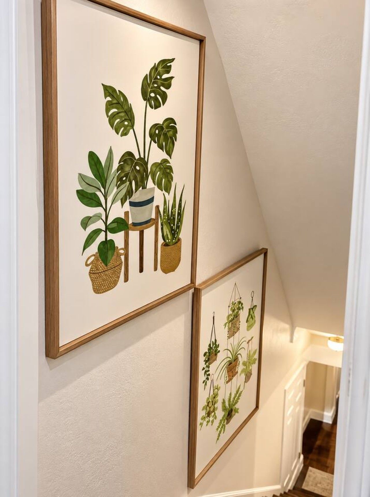 Eine Wand mit drei gerahmten botanischen Illustrationen von Pflanzen.