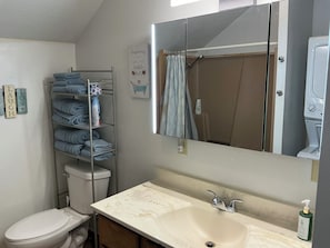 Hair dryer, towels, soap, toilet paper