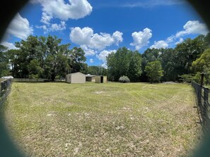 A fenced yard with a small shed, trees, and a clear sky. - 10 minutes from Rainbow Springs- My Peace River Ranch Stay in Dunnellon (Dunnellon)
