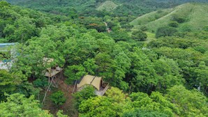 A forested area with a small, single-story building surrounded by dense trees and hills in the background. - Boutique Safari #2 (La Cruz)