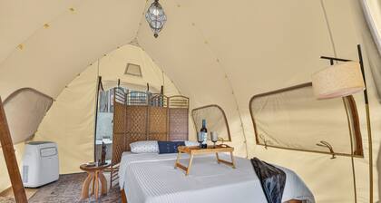 Boutique Safari #2