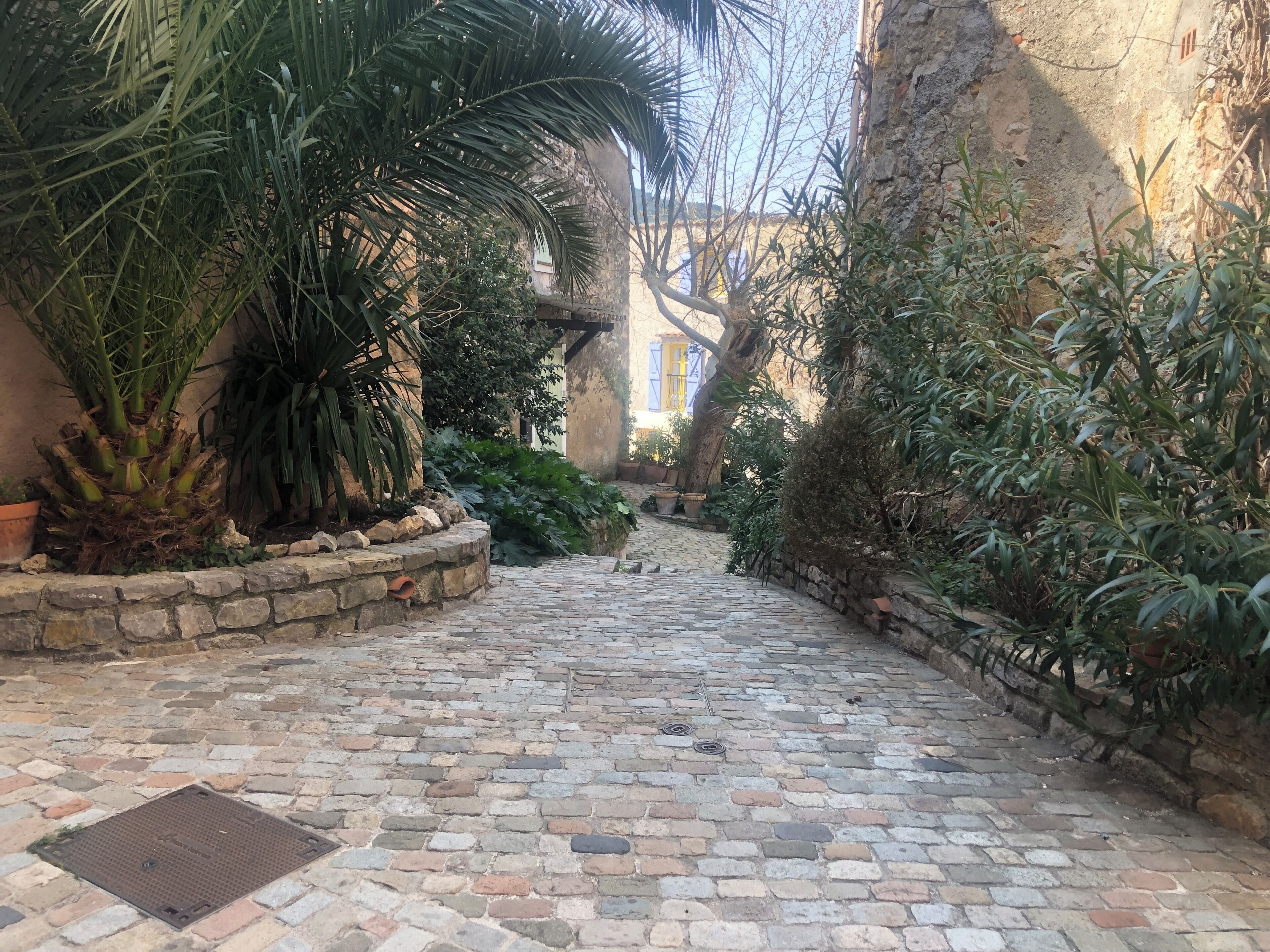 Un sentier pavé de pierres, bordé d’une végétation luxuriante et de murs de pierre rustiques.