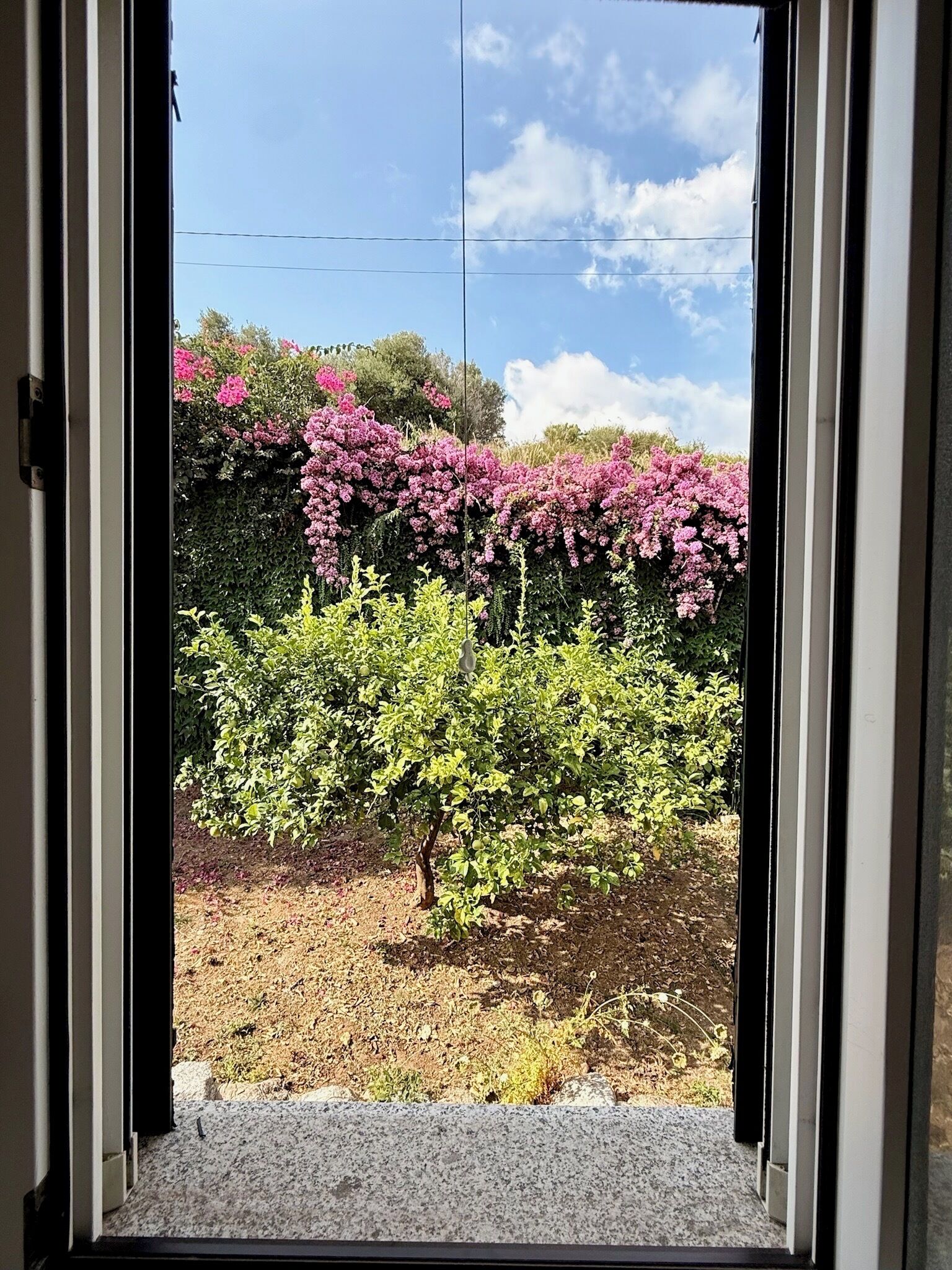 Un umbral que da a un jardín con arbustos florecientes y un cielo despejado.