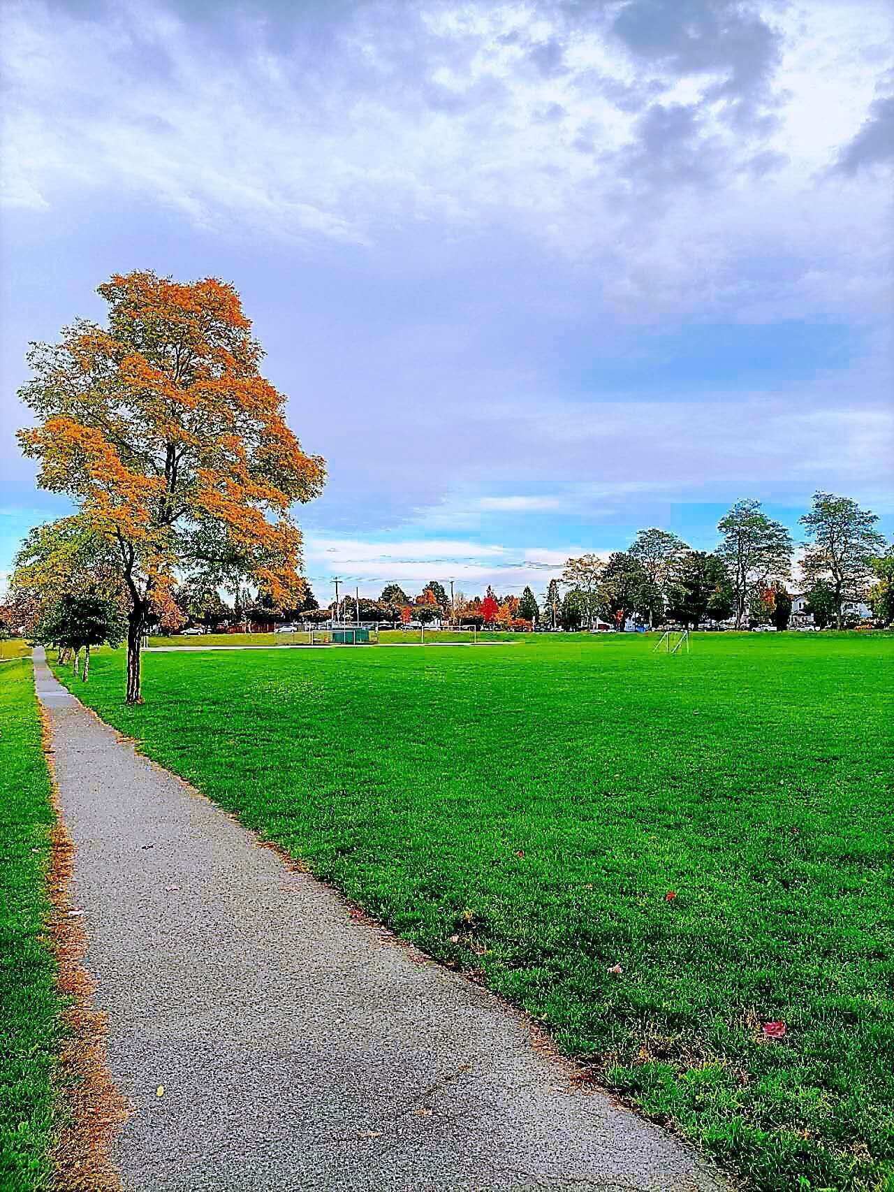Een park met een verhard pad, groen gras en bomen met herfstbladeren.