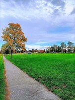A park with a paved walkway, green grass, and trees with autumn leaves.