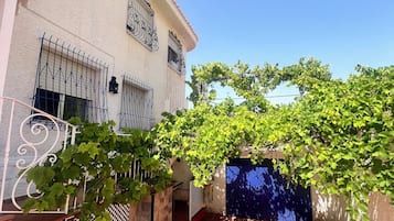 Ein Gebäude mit einer gefliesten Terrasse, einer blauen Tür und einer mit Efeu bewachsenen Mauer.