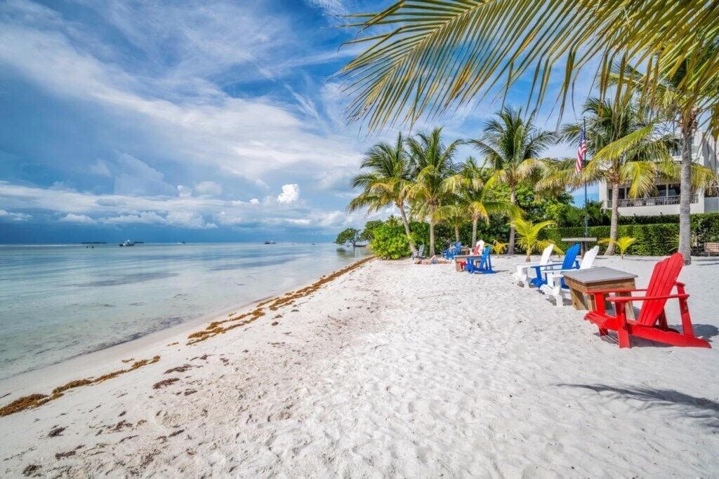 A beach with white sand, palm trees, and a clear sky.