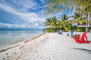 A beach with white sand, palm trees, and a clear sky. - Private Beach, Waterfront, Islamorada, Island house with a pool & a boat dock (Islamorada)
