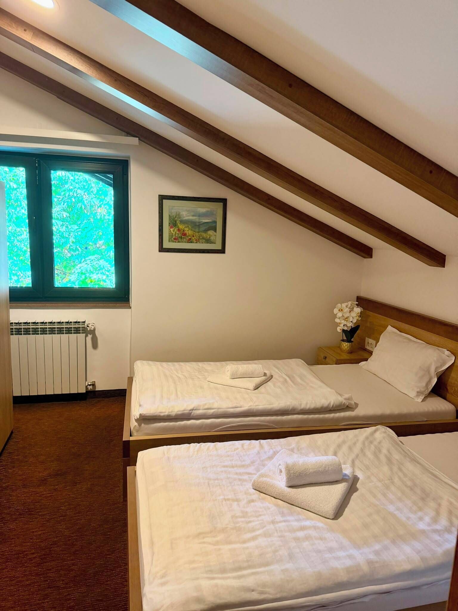 Basic Double or Twin Room | WiFi (free)