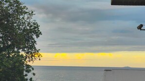 Blick auf die Küste mit Baum und Gebäude mit Wellblechdach.