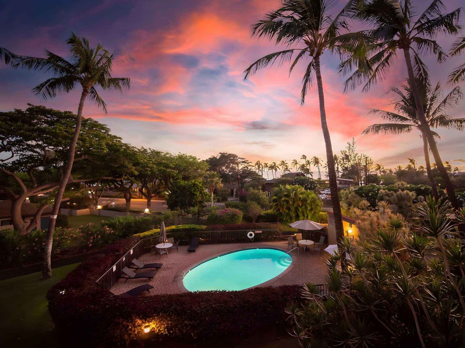 A swimming pool surrounded by palm trees and a sunset sky.
