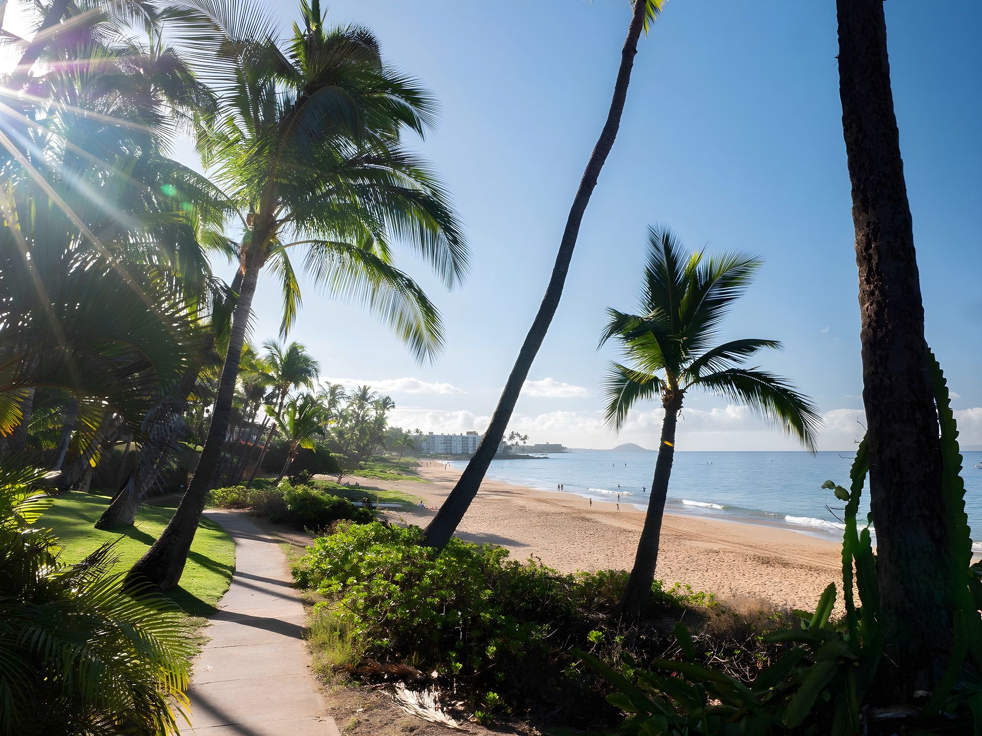 A beach path with palm trees leading to the ocean, with buildings in the background.