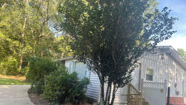 A residential property with a small shed, a tree, a wooden deck, and a staircase leading to a house. - Cozy 1-bedroom private room in peaceful Daphne, minutes to Fairhope. (Daphne)