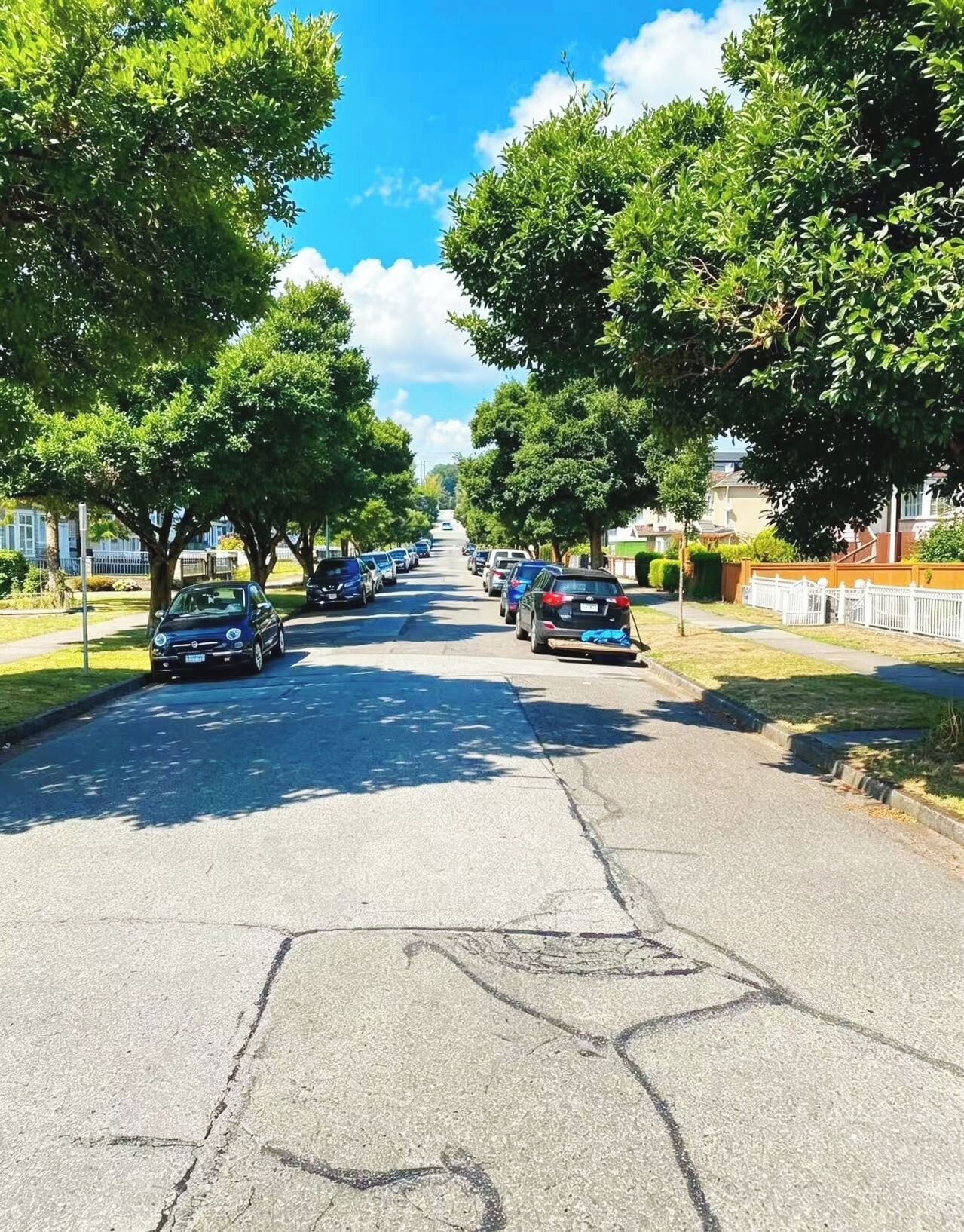 A tree-lined street with parked cars and houses on either side.
