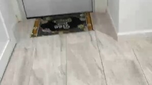 Una puerta blanca con un panel de vidrio, piso de baldosas y un felpudo con motivos florales.