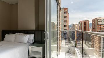 Deluxe Apartment, 2 Bedrooms, 2 Bathrooms, City View | View from room