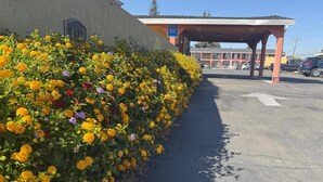 Een parkeerplaats met een gebouw op de achtergrond en een bloembed met gele bloemen.