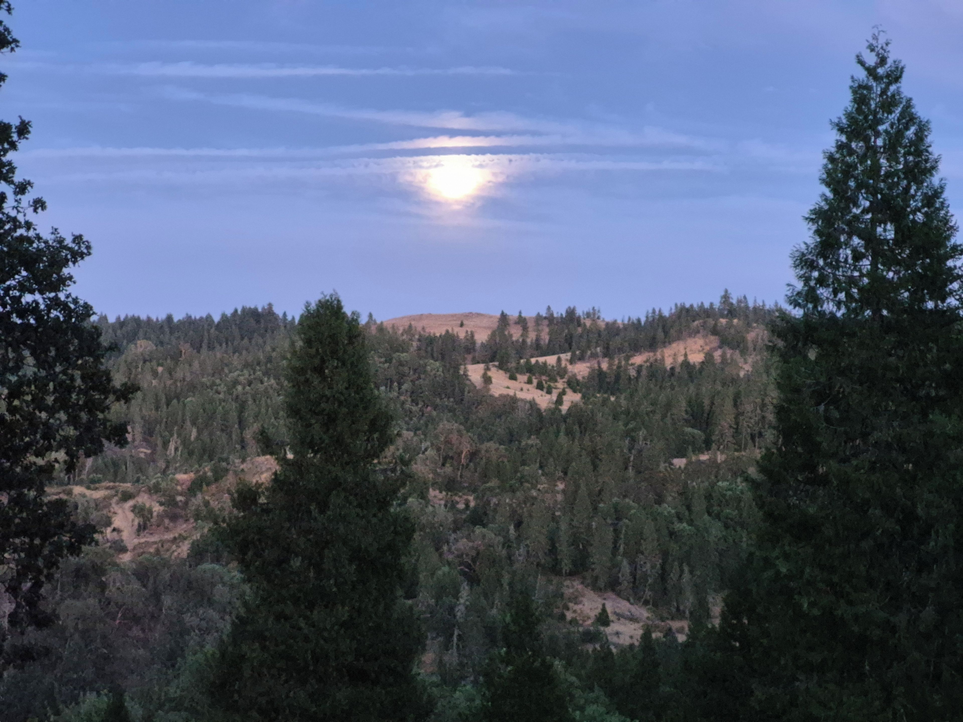 A mountainous landscape with dense forest and a clear sky.