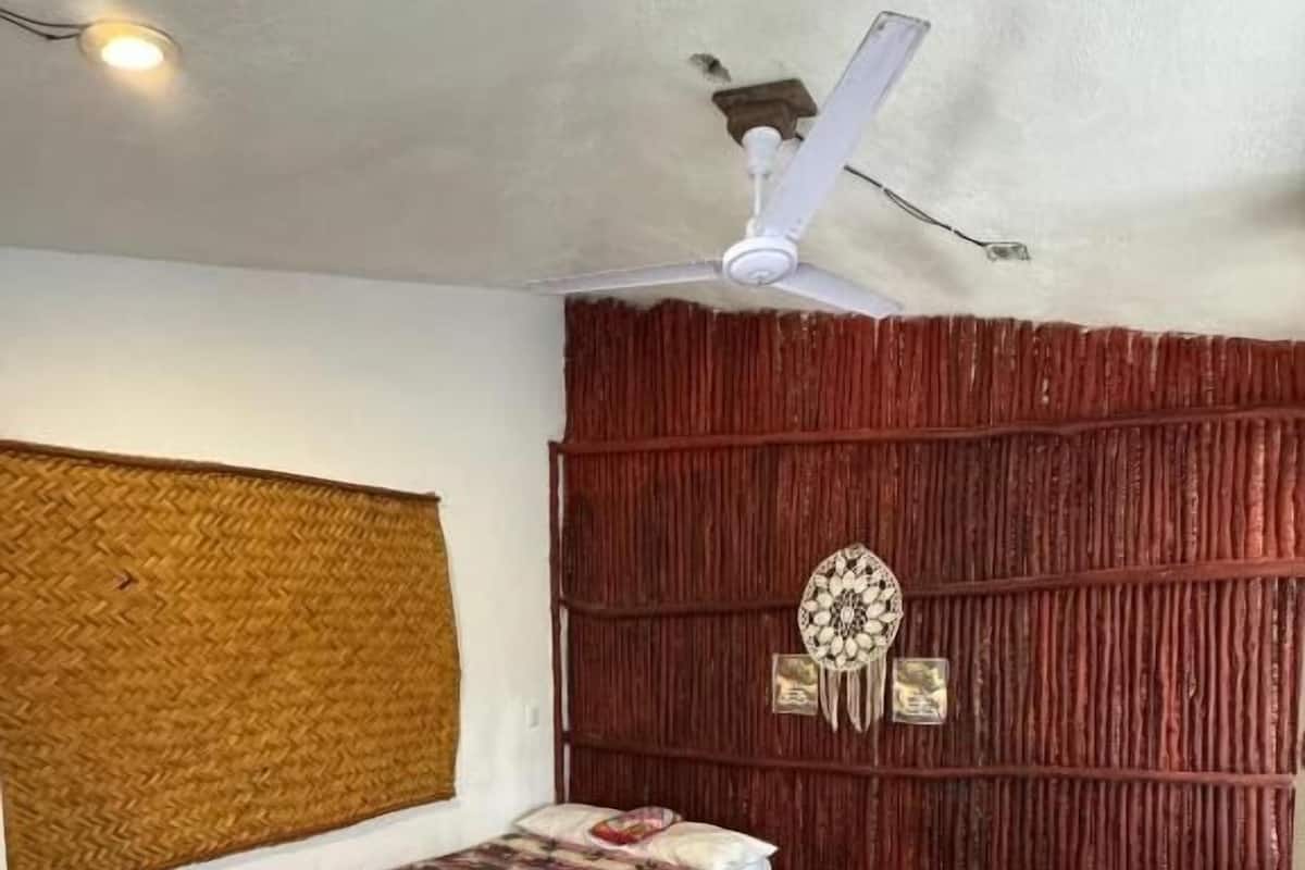 Basic Triple Room