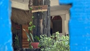 A wooden structure with a thatched roof, a wooden sign, and potted plants. - Hostal & Camping El Árbol de la Vida. (Bacalar)
