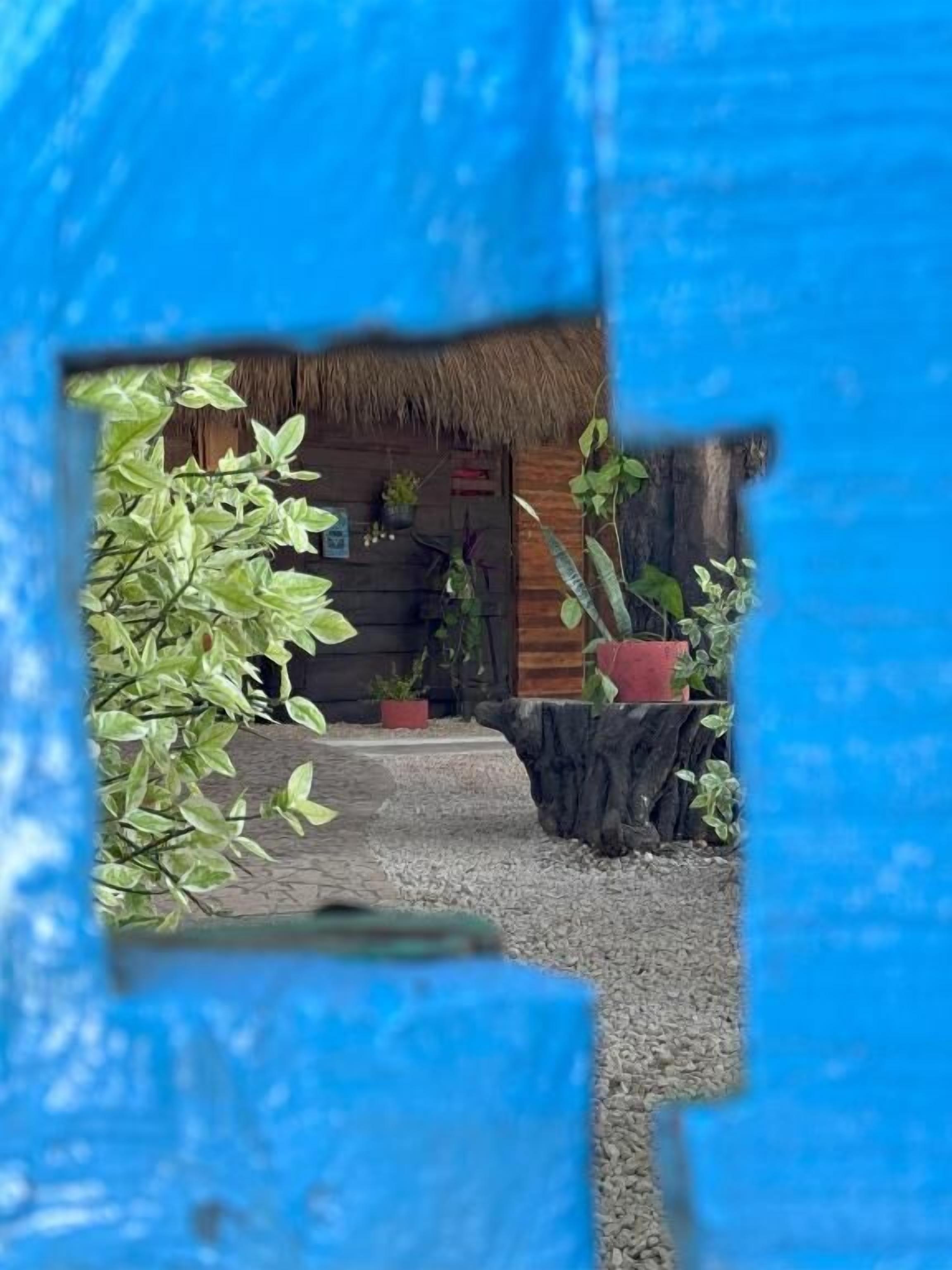Double Room, Patio, Courtyard View | Exterior detail