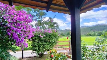 Vista para o jardim