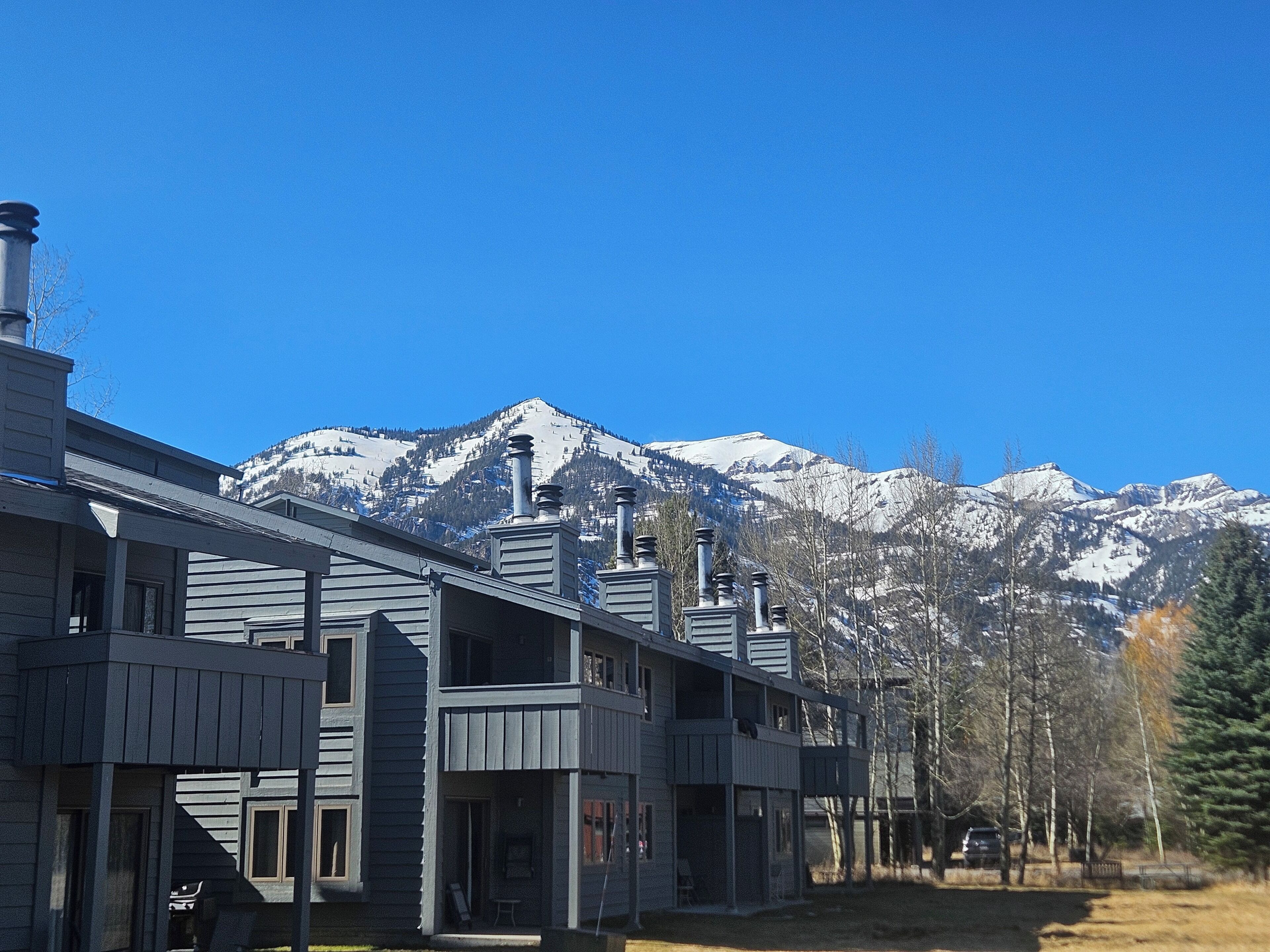 Eksteriør