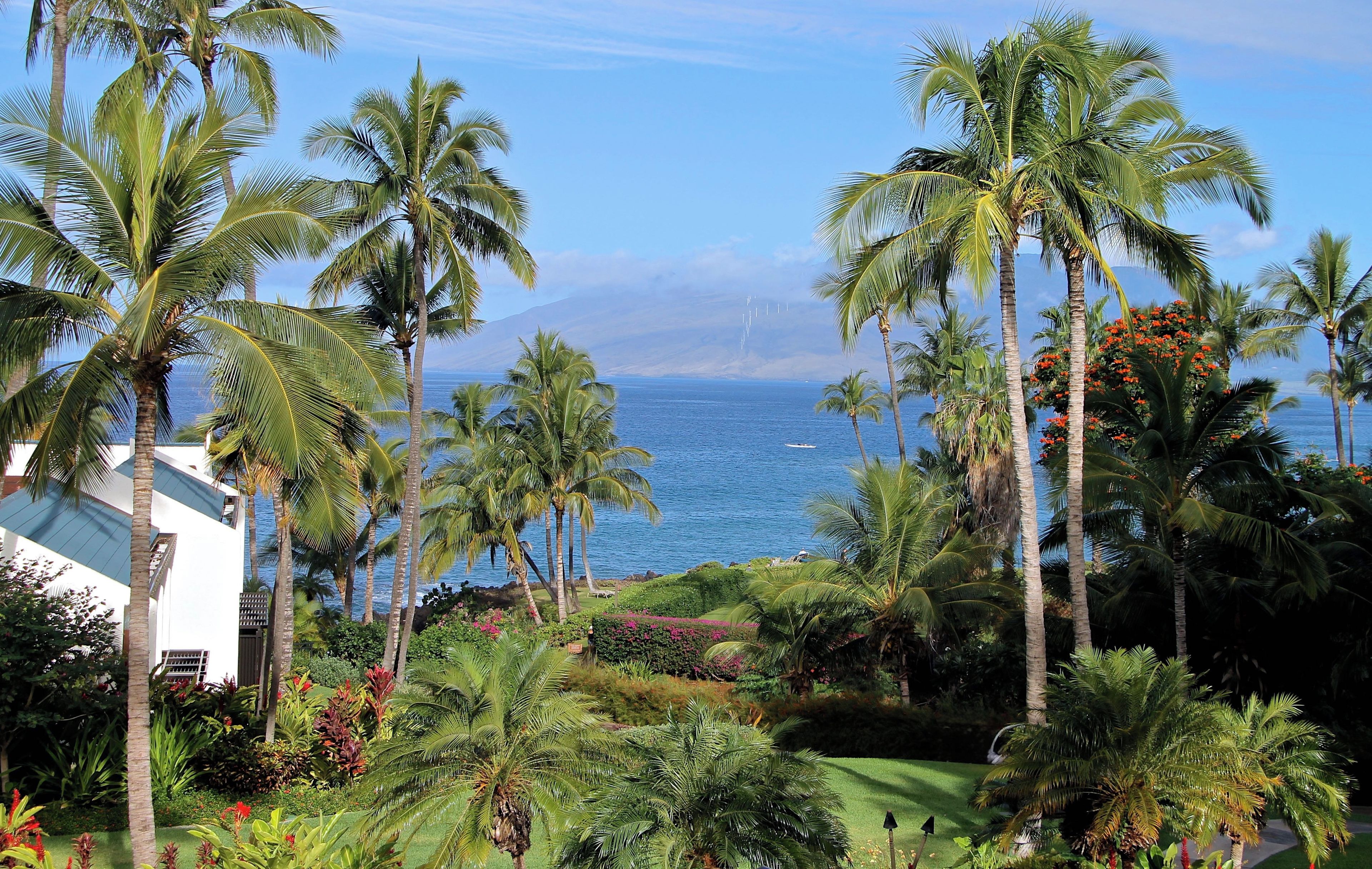 Ein tropisches Resort mit Palmen, Meerblick und einem gepflegten Garten.