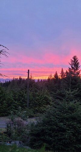 In law suite, perfect for single or couple on the outskirts of Qualicum Beach