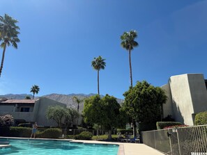 Pool - Location is everything,less than a mile walk to Palm Canyon drive. (Palm Springs)