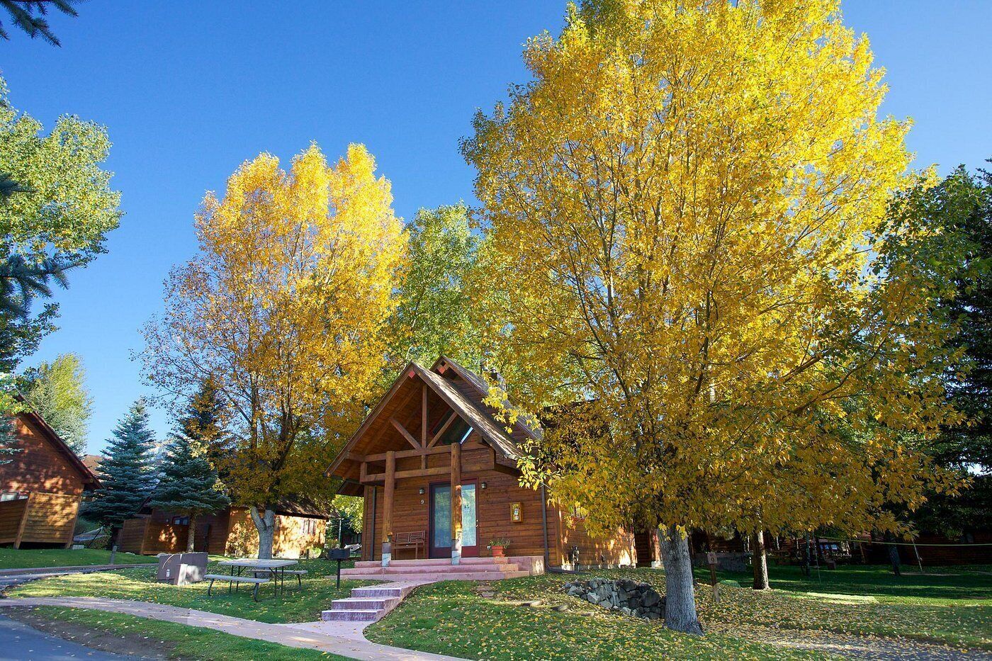 A wooden cabin with a porch, surrounded by trees with yellow leaves.