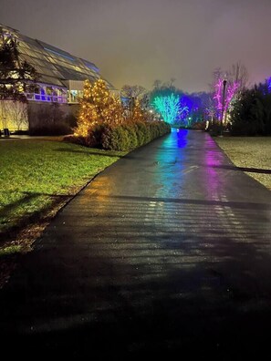 Ein Weg mit einem Gebäude links und Bäumen mit farbenfroher Beleuchtung rechts.