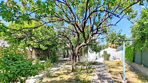 A pathway flanked by trees and a fence, leading to a building with a white facade. - Villa l'Orangeraie by Interhome (Villeneuve-Loubet)