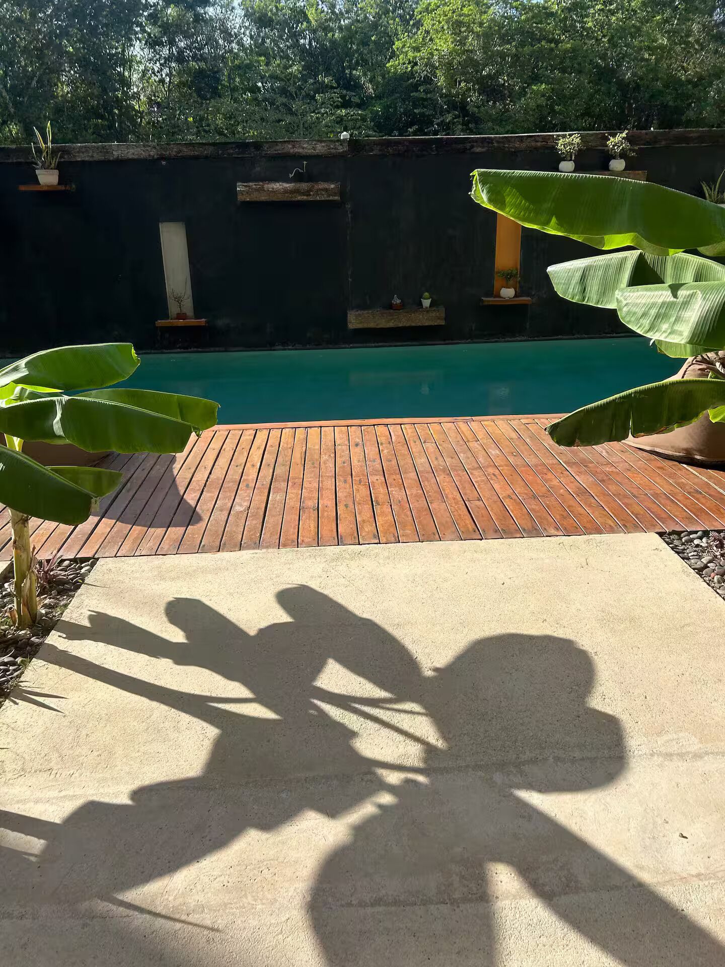 A wooden deck leading to a swimming pool with a dark wall and potted plants.