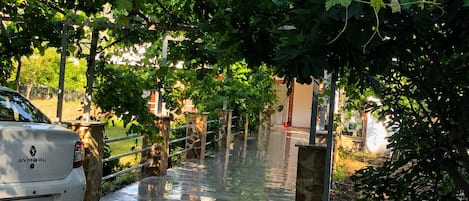A white car parked in a flooded area with a metal railing and trees overhead.