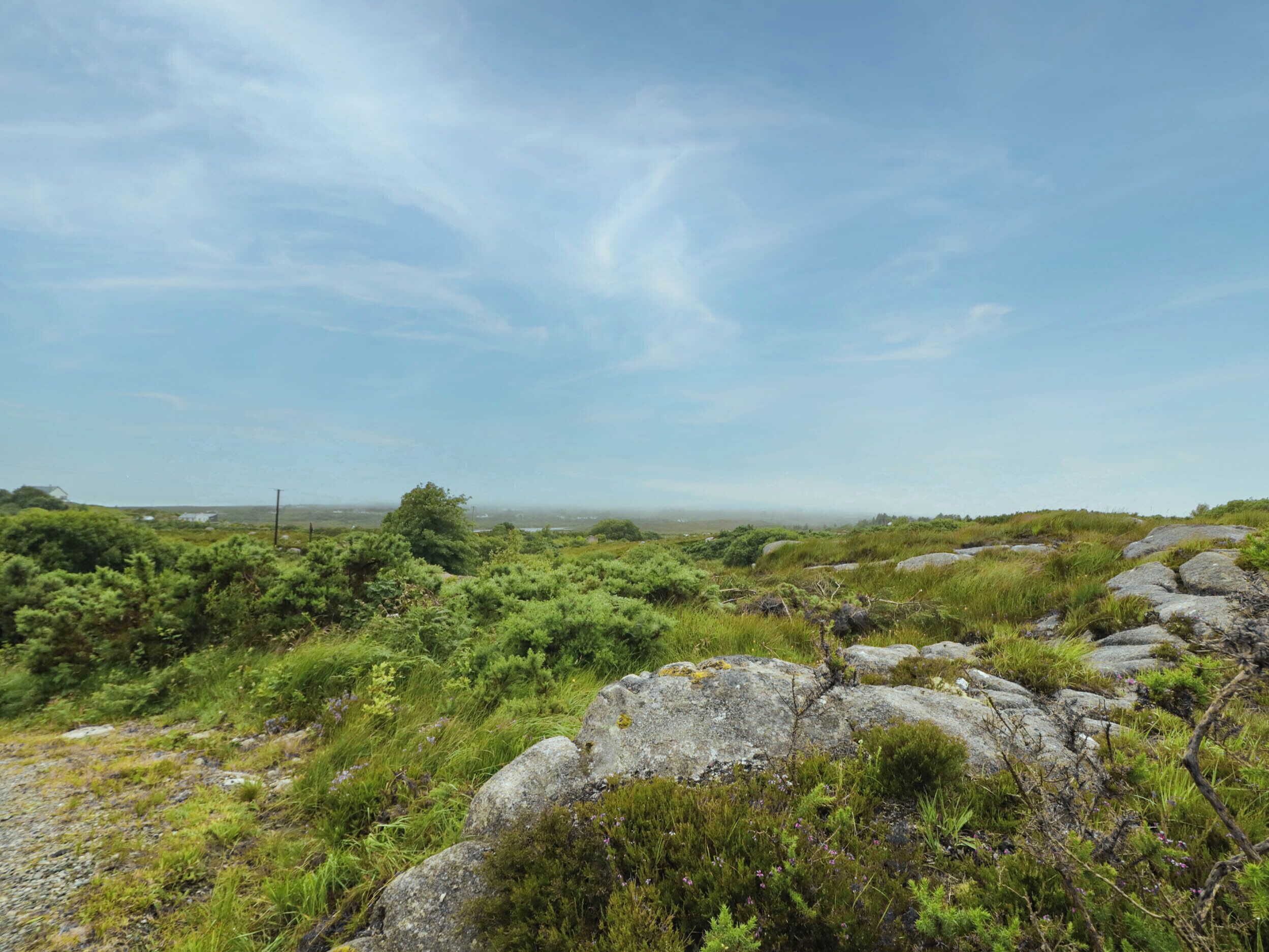 Paesaggio naturale con terreno roccioso e vegetazione fitta.