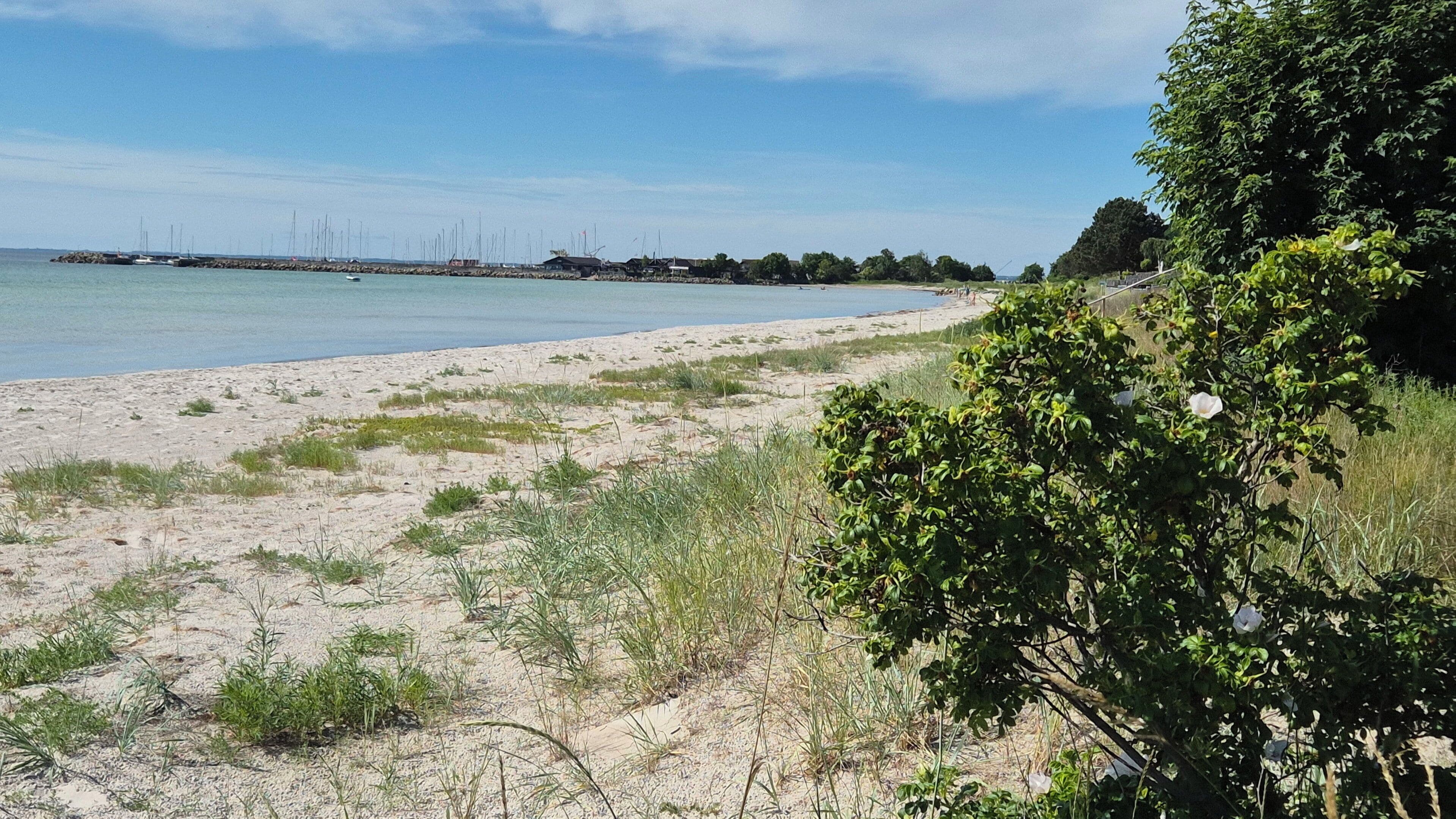 A beach with a sandy shore, some vegetation, and a distant view of boats and buildings.