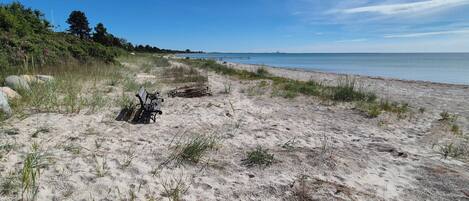 A sandy beach with a bench and sparse vegetation.