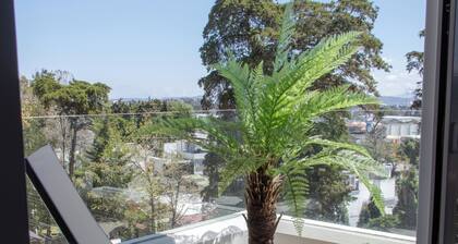 Secure Executive Suite with Pool and Gym and High Speed Wi-fi