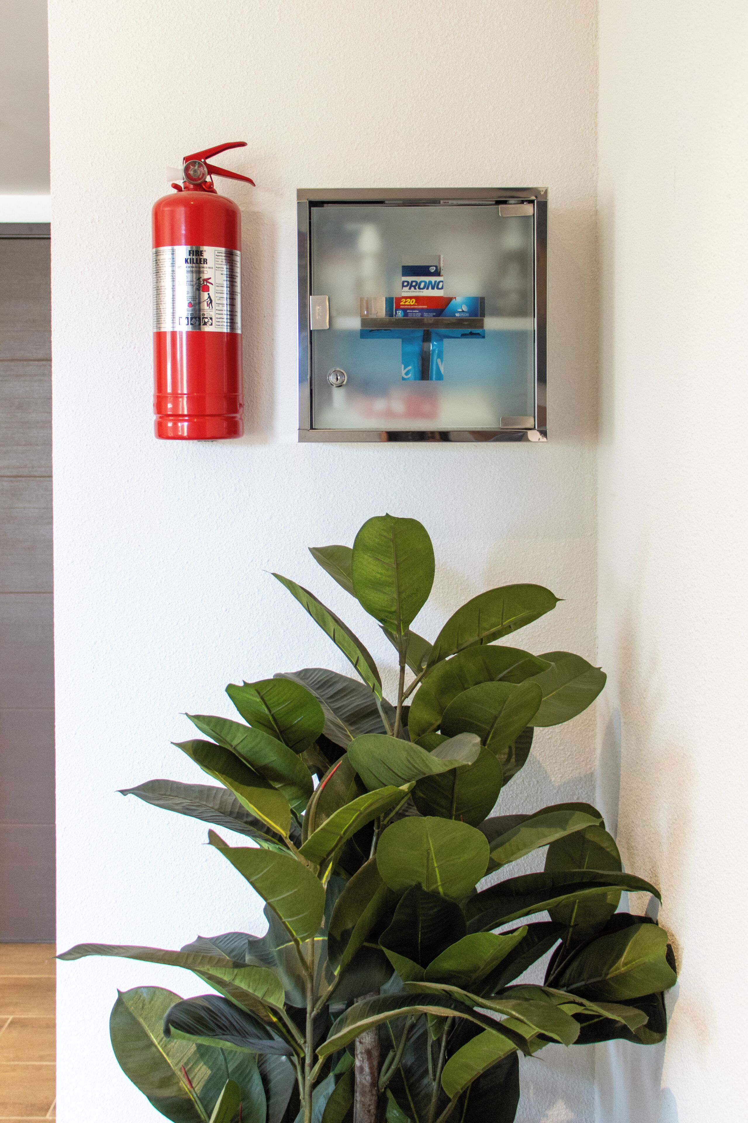 Un extintor sujeto a la pared, un botiquín de seguridad contra incendios y una planta en maceta.