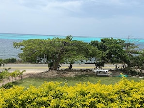 A coastal property with a paved walkway, trees, and a view of the sea.