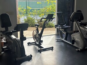 A gym with stationary bikes and exercise equipment, a large window, and a view of greenery outside. - Beachfront condo in Paradise 3 bed /2 bath (San José del Cabo)