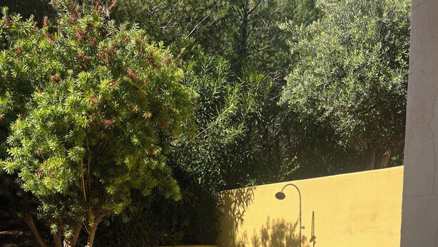 A patio with a red lounge chair, a patterned mat, and a tree. - House with a garden in Santa Teresa di Gallura (Santa Teresa di Gallura)