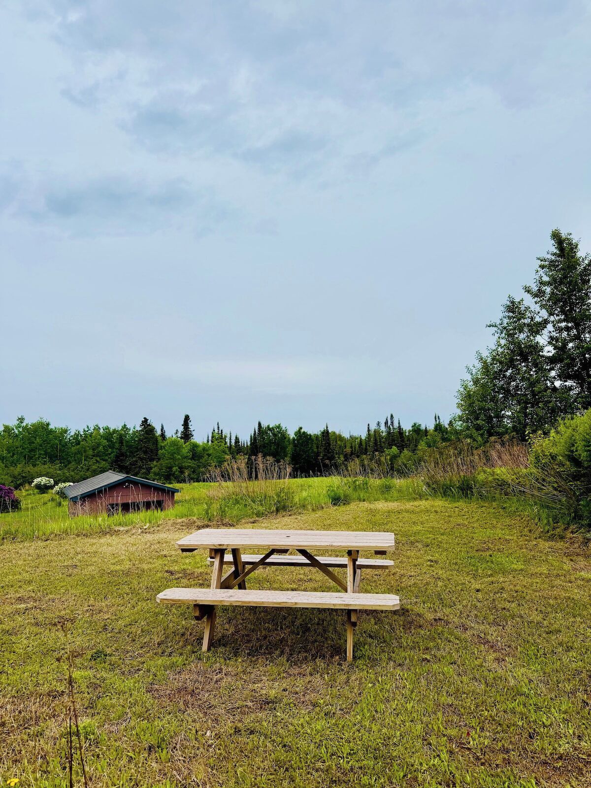 Una mesa de picnic en un campo cubierto de hierba, con un edificio pequeño al fondo.