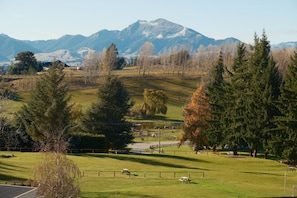 Miscellaneous - Ata Studios at Sundale Holiday Park (Wānaka)