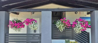 Plitvice cozy and modern Blue apartament with Sauna