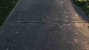 En sti af beton, kantet af græs og træer, der fører hen mod et hegn.