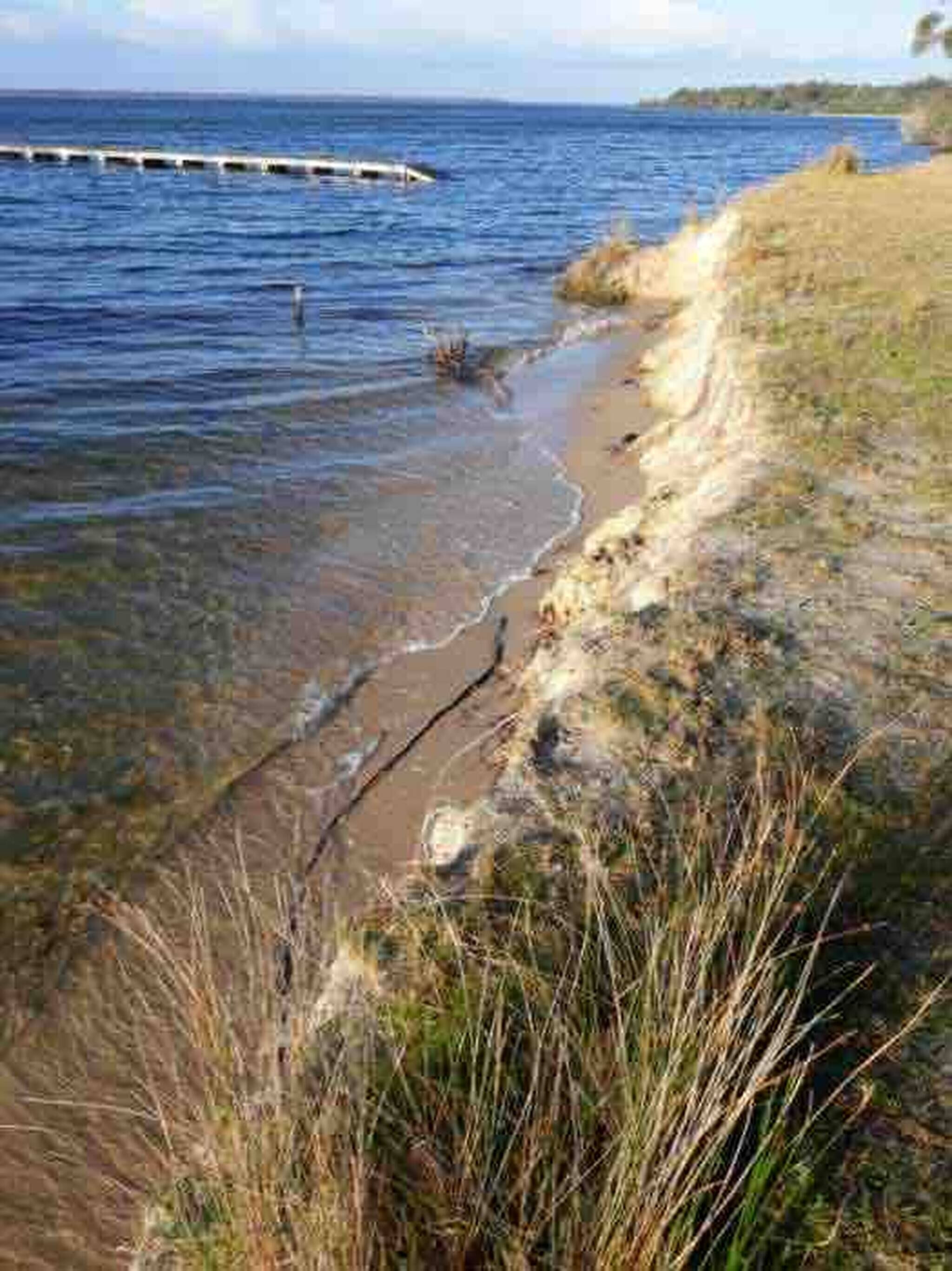 A coastal landscape with a sandy beach, grassy dunes, and a clear view of the sea.