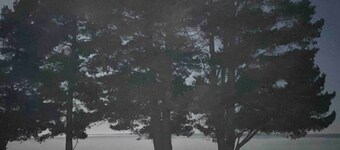 Burrunan Retreat Raymond Island