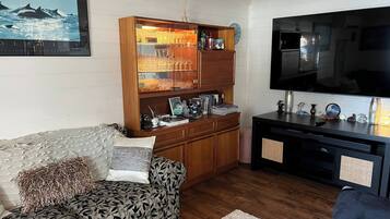 TV, fireplace, books